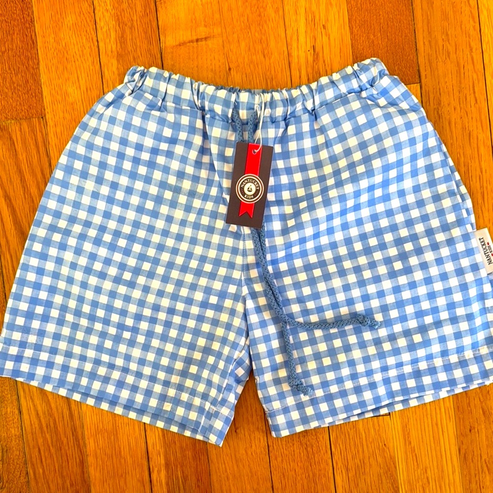 Blue and White Gingham Shorts